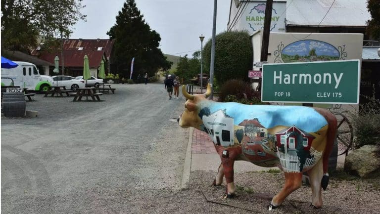 Friday doesn’t feel like Friday anymore’: Coastal Calif. towns are on the brink